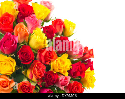 Rosen auf weißem Hintergrund. Bukett von roten, rosa, gelb, orange farbigen Rosenblüten Stockfoto