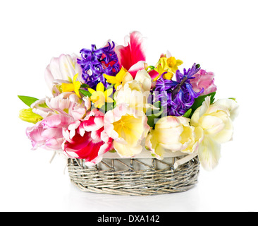 Tulpen, Narzissen und Hyazinthen. bunte Frühlingsblumen Stockfoto