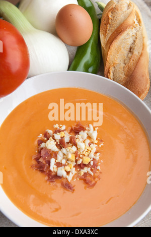 Salmorejo dienen umgeben von einigen der Zutaten notwendig, dieses Gericht zu machen. Stockfoto