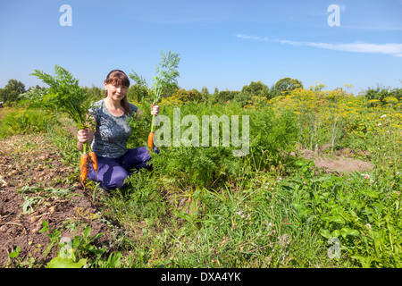 Junge Frau, die eine Garbe von Karotten in der Hand halten Stockfoto