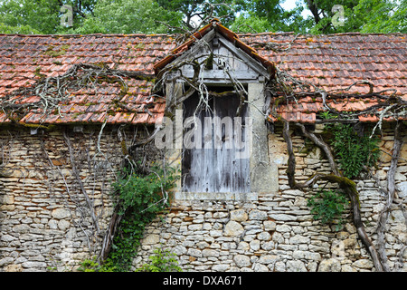 Alte Scheune in einer verlassenen Französisch Gehöft Vézère-Tal Dordogne Frankreich EU Stockfoto