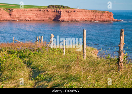 Blick auf die Klippen und der Leuchtturm von Cape Tryon, Prince Edward Island. Stockfoto