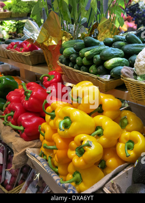 Rote und gelbe Paprika Display, frisch produzieren Abschnitt, Lebensmittelmarkt, Grand Central Terminal, NYC, USA Stockfoto