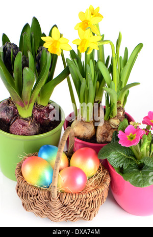 Bunt bemalte Ostereier in braunen Korb mit Frühlingsblumen Stockfoto