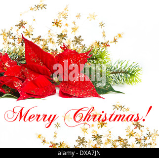 Roten Weihnachtsstern. Weihnachten Blume mit goldene Dekoration. Frohe Weihnachten! Karte-Konzept Stockfoto