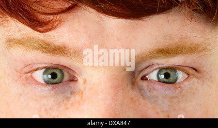 Junger Mann mit Sommersprossen, rote Haare und grüne Augen Stockfoto