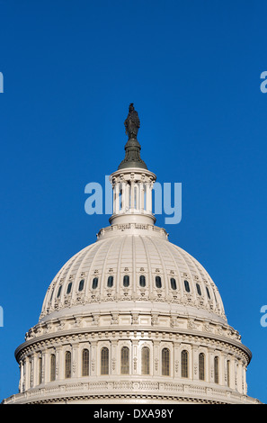 Die United States Capitol Building, Washington D.C., USA Stockfoto