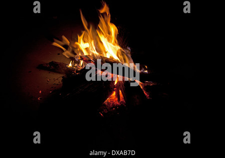 Holz Lagerfeuer Sambesi-Tal in der Nähe von Livingstone, Sambia Stockfoto