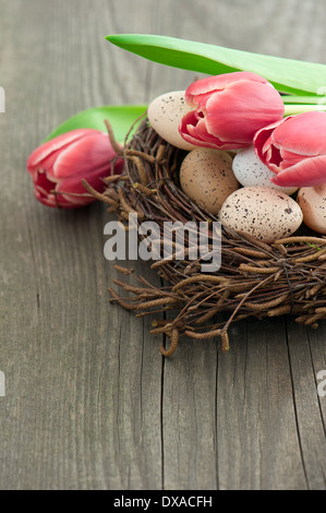 Rosa Tulpe Blumen mit Vogeleier im nest Stockfoto