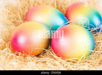 bunte Ostereier auf etwas Heu liegend Stockfoto