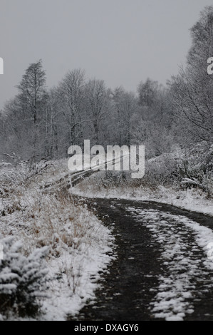 Schnee-Deckel-Waldweg in der Nähe von Sherrifmuir, Stirling, Schottland. Stockfoto
