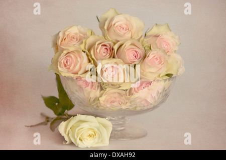 Rode Rosa Glasschüssel mit rosa Blüten mit einer weißen Rose legte unter auf einer strukturierten malerische gesprenkelte Hintergrund geben eine Stockfoto