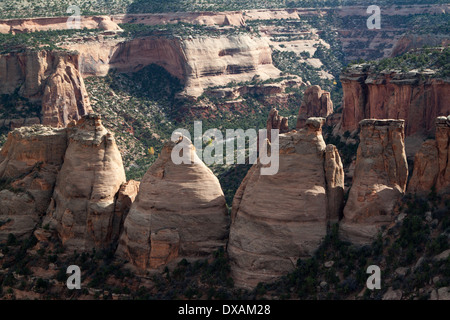 Koksöfen Bildung in Colorado National Monument Stockfoto