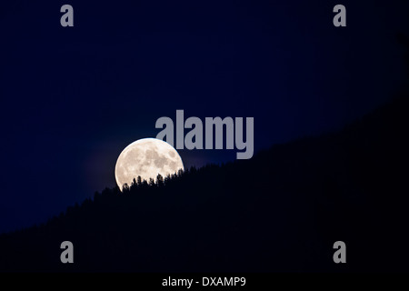 2013 © Christopher Martin Stockfoto