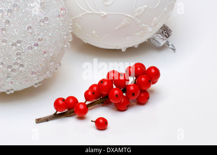 Holly, Ilex Stockfoto