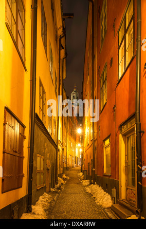 Nachtansicht der Stockholmer Kathedrale, gesehen von Göran Hälsinges Trotzigs in Gamla Stan, die Altstadt von Stockholm, Schweden. Stockfoto