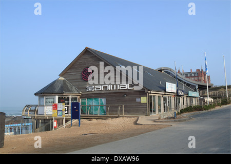 Surfshops am Fistral Beach, Newquay, Cornwall, England, Großbritannien, Deutschland, UK, Europa Stockfoto