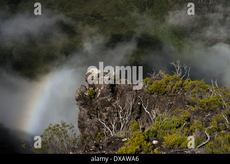 Aussicht vom Morne Langevin. Der Morne Langevin ist ein Berggipfel auf der Insel Reunion, französisches Übersee-department Stockfoto