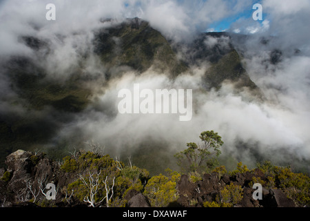 Aussicht vom Morne Langevin. Der Morne Langevin ist ein Berggipfel auf der Insel Reunion, französisches Übersee-department Stockfoto