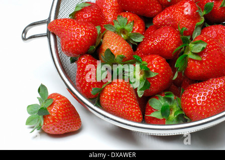 Erdbeere Stockfoto