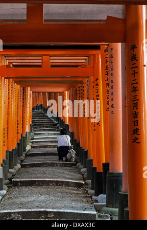 Zinnober Torii-Tore in Fushimi Inari Schrein, Kyoto, Japan Stockfoto