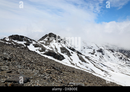 Frühling-Hang des Veleta in der Sierra Nevada Stockfoto