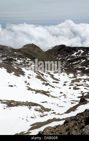 Frühling-Hang des Veleta in der Sierra Nevada Stockfoto