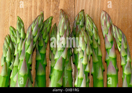 frischer grüner Spargel-Tipps/Stiele aus Holz Hintergrund, UK Stockfoto