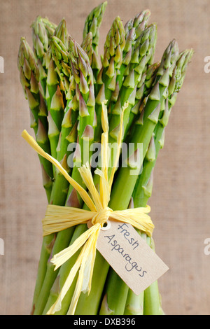 Eine Reihe von frischen, grünen Spargelspitzen gebunden mit gelben Bast Stand vor einem rustikalen hessischen Tuch Hintergrund, UK Stockfoto