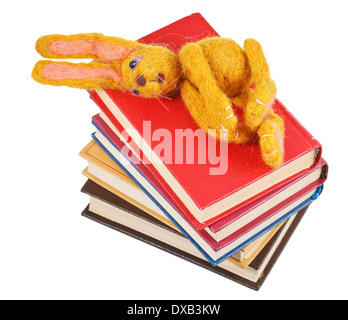 Draufsicht der Filz Stofftier Hase liegt auf Bücherstapel isoliert auf weißem Hintergrund Stockfoto