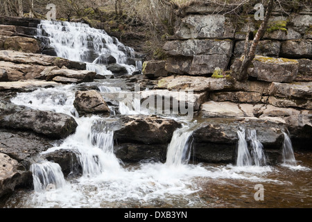 Der untere Wasserfall der East Gill Force bei Keld, Yorkshire Dales, Großbritannien Stockfoto