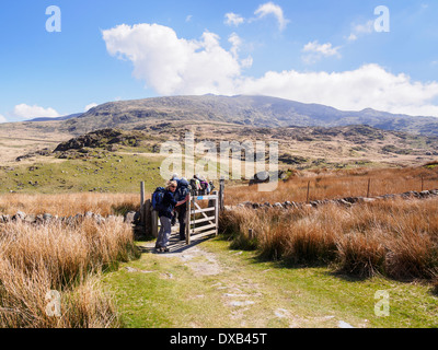 Wanderer zu Fuß durch Tor auf Rhyd Ddu Pfad bis Mount Snowdon mit Spitze in Ferne in Snowdonia National Park North Wales UK Stockfoto