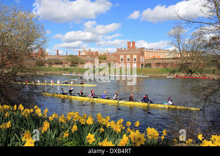 Themse in Hampton Court, SW-London, UK. 22. März 2014. Vorbereitung für den Start des Kopfes des Rennens Fluss Kingston. Über 200 Mannschaften kämpften in der jährlichen Veranstaltung für 3 Meilen von der Themse zwischen Hampton Court Palace und Kingston Rowing Club. Die Mannschaften, die alle aus dem Süden Englands konkurrierten ist mehrere Klassen einschließlich Achter, Vierer, Schädeln und Ruderer, Senior, Junior, Herren- und Damen-Teams. Ergebnisse noch nicht verfügbar. Bildnachweis: Julia Gavin/Alamy Live-Nachrichten Stockfoto