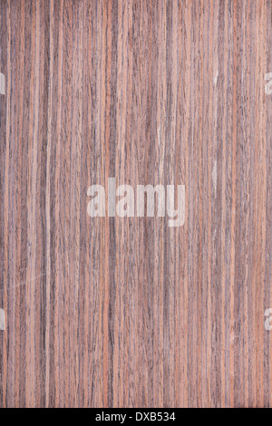 Afrikanische Ebenholz Baum Holz- Struktur Textur Hintergrundbild