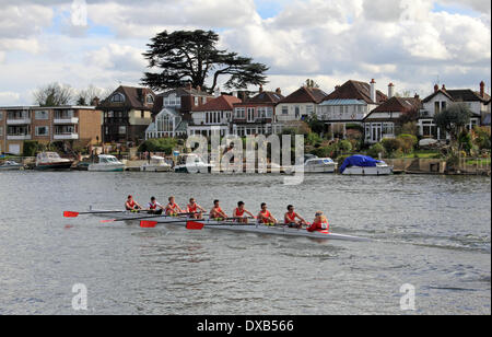 Themse in Hampton Court, SW-London, UK. 22. März 2014. Eine acht-Mann-Besatzung treibt vorbei an Häusern in Thames Ditton während der Kingston-Kopf des Flusses Rennens. Über 200 Mannschaften kämpften in der jährlichen Veranstaltung für 3 Meilen von der Themse zwischen Hampton Court Palace und Kingston Rowing Club. Die Mannschaften, die alle aus dem Süden Englands konkurrierten ist mehrere Klassen einschließlich Achter, Vierer, Schädeln und Ruderer, Senior, Junior, Herren- und Damen-Teams. Ergebnisse noch nicht verfügbar. Bildnachweis: Julia Gavin/Alamy Live-Nachrichten Stockfoto