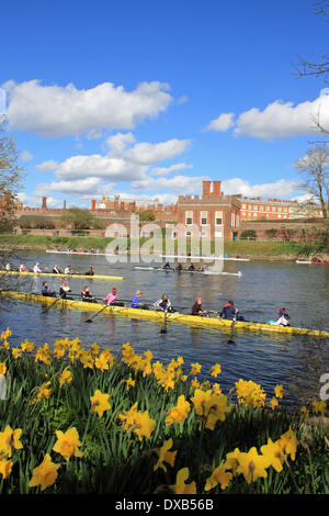 Themse in Hampton Court, SW-London, UK. 22. März 2014. Vorbereitung für den Start des Kopfes des Rennens Fluss Kingston. Über 200 Mannschaften kämpften in der jährlichen Veranstaltung für 3 Meilen von der Themse zwischen Hampton Court Palace und Kingston Rowing Club. Die Mannschaften, die alle aus dem Süden Englands konkurrierten ist mehrere Klassen einschließlich Achter, Vierer, Schädeln und Ruderer, Senior, Junior, Herren- und Damen-Teams. Ergebnisse noch nicht verfügbar. Bildnachweis: Julia Gavin/Alamy Live-Nachrichten Stockfoto