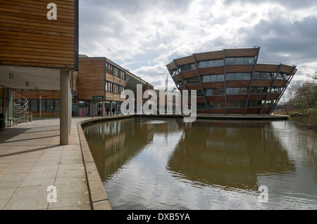 Jubilee Campus, Universität Nottingham, England, UK.  Sir Harry und Lady Djanogly Gebäude auf der rechten Seite. Stockfoto