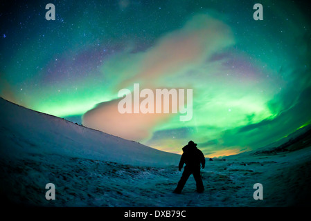 Ein Himmel Polarlichter (Aurora Borealis) Anzeige über Nordschweden zu füllen. Es enthält hoher ISO - Rauschen. Stockfoto