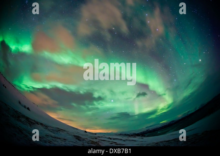 Ein Himmel Polarlichter (Aurora Borealis) Anzeige über Abisko, Nordschweden zu füllen. Es enthält hoher ISO - Rauschen. Stockfoto