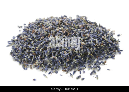 Lavendel-Heap isoliert auf weißem Hintergrund Stockfoto