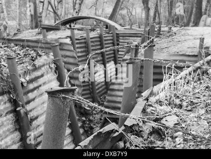 Restauriert von britischen WW1 Rigolensystem im Heiligtum Wood Hill 62, Nr. Ypern (Ieper), Belgien Stockfoto