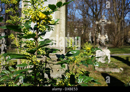 Grab auf dem Nordfriedhof, München, Bayern, Deutschland, Europa Stockfoto