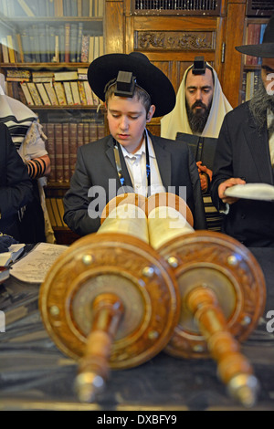 Wochentag morgens in der Rebbe Büro Dienstleistungen. Junge aufgefordert für seine Bar Mizwa die Thora. Crown Heights, Brooklyn, New York. Stockfoto