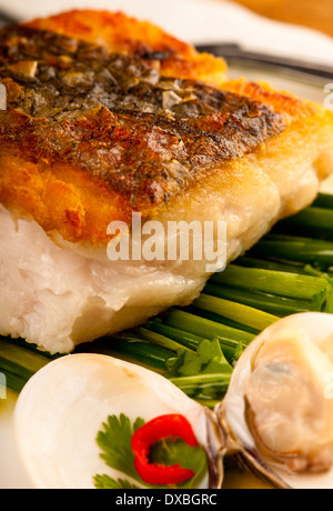 Knusprig gebratene Kabeljaufilet auf einem Bett aus Schnittlauch garniert mit Almejas, Muscheln und chili Stockfoto