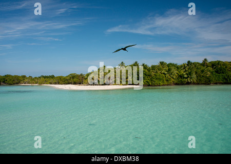 Belize, Karibik, Bezirk von Toledo, die Cayes. Westen Schlange Caye liegt in Belize Coastal Zone. Stockfoto