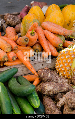 Belize, Bezirk von Toledo, Punta Gorda. Gemischte frische am Bauernmarkt. Stockfoto