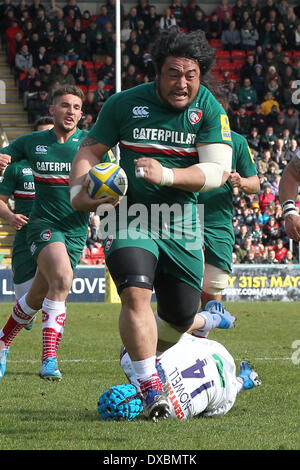 Leicester, UK. 23. März 2014. Leicester Tigers Logovi'i Mulipola läuft über Exeter Chiefs und Englands Jack Nowell auf seinem Weg, während das Aviva Premiership Rugby-Match zwischen Leicester Tigers und Exeter Welford Road Credit scoring: Action Plus Sport/Alamy Live News Stockfoto