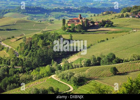 Grünen Hügeln und Weinbergen der Langhe in der früh im Frühling in Piemont, Italien. Stockfoto