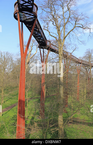 Die Rhizotron und Xstrata Treetop Walkway, Kew Gardens, London, England, Vereinigtes Königreich Stockfoto