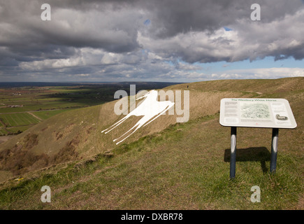 Westbury White Horse Kreidefigur, Westbury, Wiltshire, England, Großbritannien Stockfoto